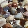Botswana Agate