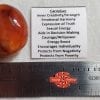 Carnelian  Gallet - Image 2