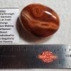 Carnelian  Gallet